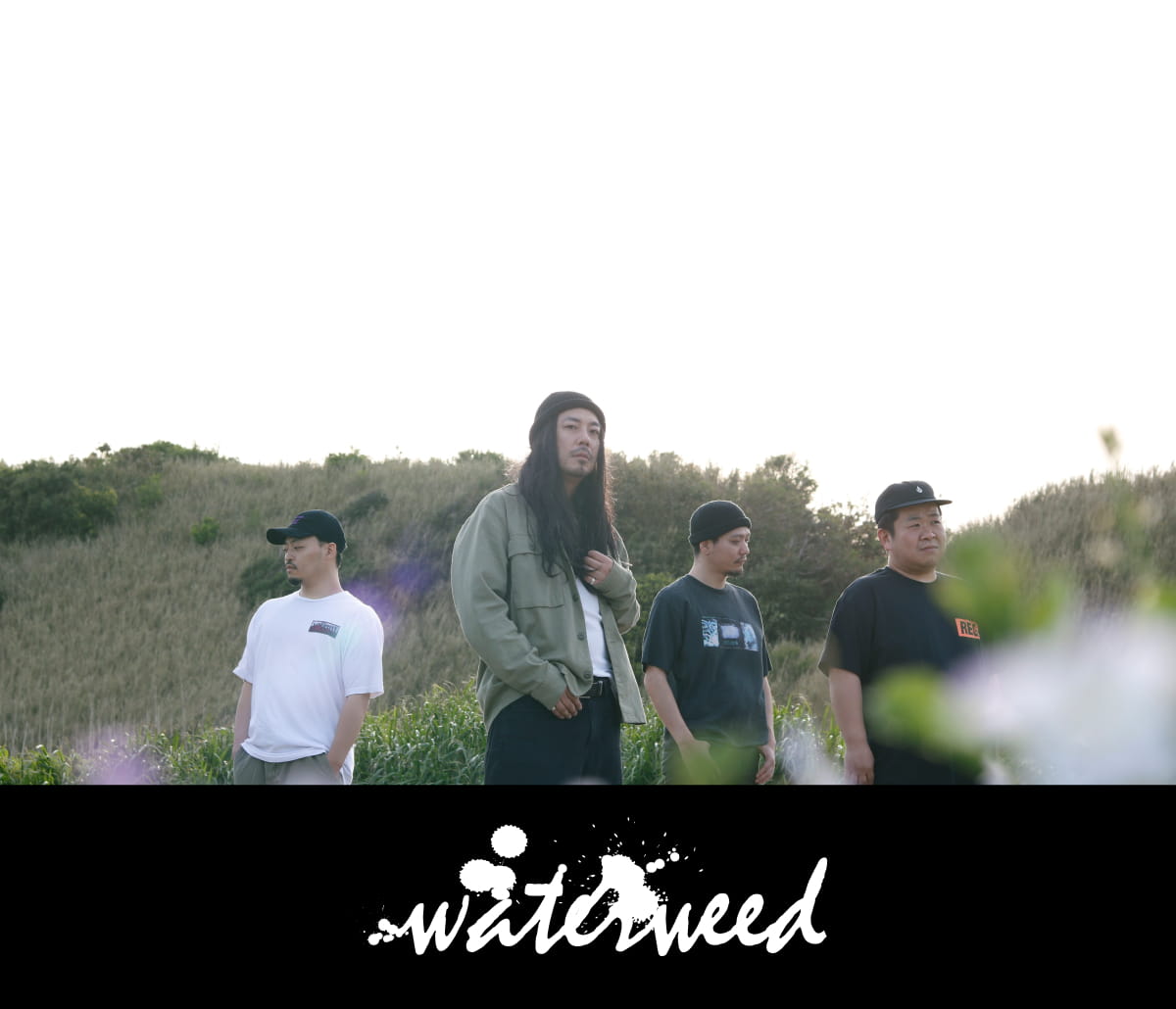 waterweed